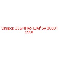 300012991 ОБЫЧНАЯ ШАЙБА Epiroc