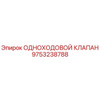 9753238788 ОДНОХОДОВОЙ КЛАПАН Epiroc