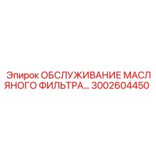 3002604450 ОБСЛУЖИВАНИЕ МАСЛЯНОГО ФИЛЬТРА Epiroc