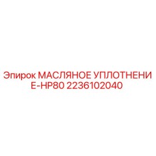 2236102040 МАСЛЯНОЕ УПЛОТНЕНИЕ-HP80 Epiroc