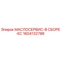 1604132788 МАСЛОСЕРВИС-В СБОРЕ-EC Epiroc