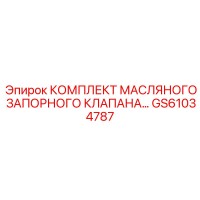 GS61034787 КОМПЛЕКТ МАСЛЯНОГО ЗАПОРНОГО КЛАПАНА - Epiroc