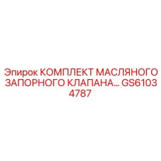 GS61034787 КОМПЛЕКТ МАСЛЯНОГО ЗАПОРНОГО КЛАПАНА - Epiroc
