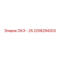 2258294203 ОКЭ - 25 Epiroc