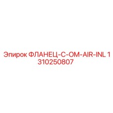 1310250807 ФЛАНЕЦ-C-OM-AIR-INL Epiroc