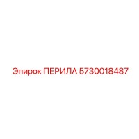 5730018487 ПЕРИЛА Epiroc
