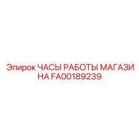 FA00189239 ЧАСЫ РАБОТЫ МАГАЗИНА Epiroc