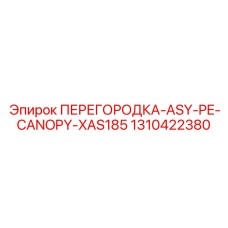 1310422380 ПЕРЕГОРОДКА-ASY-PE-CANOPY-XAS185 Epiroc