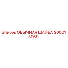300013069 ОБЫЧНАЯ ШАЙБА Epiroc