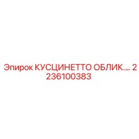 2236100383 КУСЦИНЕТТО ОБЛИК.… Epiroc