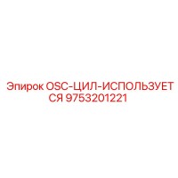 9753201221 OSC-ЦИЛ-ИСПОЛЬЗУЕТСЯ Epiroc