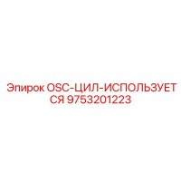9753201223 OSC-ЦИЛ-ИСПОЛЬЗУЕТСЯ Epiroc