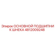 4812009248 ОСНОВНОЙ ПОДШИПНИК ШНЕКА Epiroc