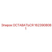 1623908081 ОСТАВАТЬСЯ Epiroc