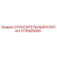 3176925000 ОТНОСИТЕЛЬНЫЙ КЛАПАН | Epiroc