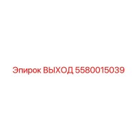 5580015039 ВЫХОД Epiroc