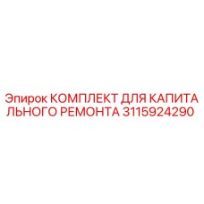 3115924290 КОМПЛЕКТ ДЛЯ КАПИТАЛЬНОГО РЕМОНТА Epiroc