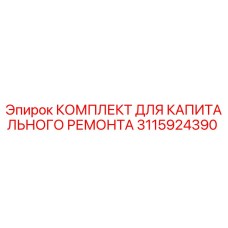 3115924390 КОМПЛЕКТ ДЛЯ КАПИТАЛЬНОГО РЕМОНТА Epiroc