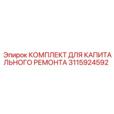 3115924592 КОМПЛЕКТ ДЛЯ КАПИТАЛЬНОГО РЕМОНТА Epiroc
