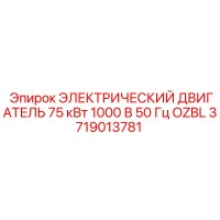 3719013781 ЭЛЕКТРИЧЕСКИЙ ДВИГАТЕЛЬ 75 кВт 1000 В 50 Гц OZBL Epiroc