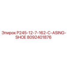 8092401876 P245-12-7-162-C-ASING-SHOE Epiroc