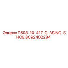 8092402284 P508-10-417-C-ASING-SHOE Эпирок