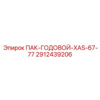 2912439206 ПАК-ГОДОВОЙ-XAS-67-77 Epiroc