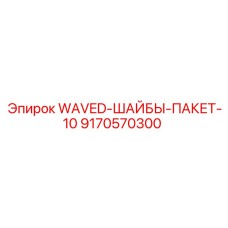9170570300 WAVED-ШАЙБЫ-ПАКЕТ-10 Epiroc