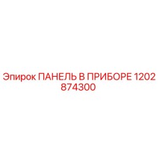 1202874300 ПАНЕЛЬ В ПРИБОРЕ Эпирок