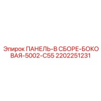 2202251231 ПАНЕЛЬ-В СБОРЕ-БОКОВАЯ-5002-C55 Epiroc
