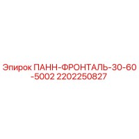 2202250827 ПАНН-ФРОНТАЛЬ-30-60-5002 Epiroc