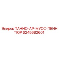 6245682601 ПАННО-АР-МУСС-ПЕИНТЮР Epiroc