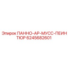 6245682601 ПАННО-АР-МУСС-ПЕИНТЮР Epiroc