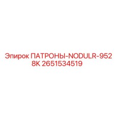 Специализированный буровой патрон 2651534519 с системой NODULR