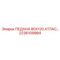 2236109984 ПЕДАНА 80X120 АТЛАС Epiroc