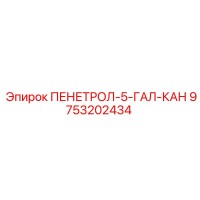 9753202434 ПЕНЕТРОЛ-5-ГАЛ-КАН Epiroc