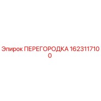 1623117100 ПЕРЕГОРОДКА Epiroc