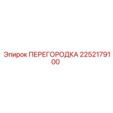 2252179100 ПЕРЕГОРОДКА Epiroc