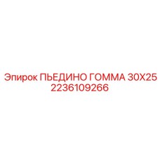 2236109266 ПЬЕДИНО ГОММА 30X25 Epiroc