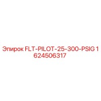 1624506317 FLT-PILOT-25-300-PSIG Epiroc