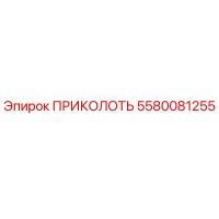 5580081255 ПРИКОЛОТЬ Epiroc