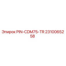2310065258 PIN-CDM75-TR Epiroc