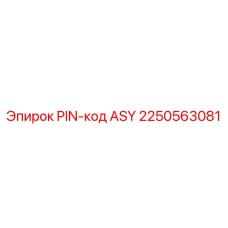 2250563081 PIN-код ASY Epiroc