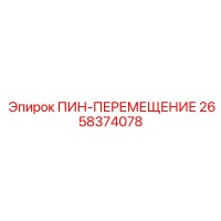 2658374078 ПИН-ПЕРЕМЕЩЕНИЕ Epiroc