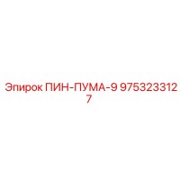 9753233127 ПИН-ПУМА-9 Epiroc