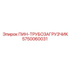 5750060031 ПИН-ТРУБОЗАГРУЗЧИК Epiroc