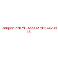 2657423915 PINEYE-ASSEM Epiroc