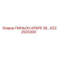 6222525300 ПИНЬОН АРБРЕ 38… Epiroc