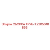 2205618863 СБОРКА ТРУБ-1 Epiroc