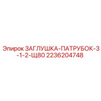 2236204748 ЗАГЛУШКА-ПАТРУБОК-3-1-2-Щ80 Epiroc